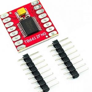 Driver Motor